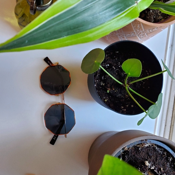 Tijn Sunglasses - Picture 2 of 4